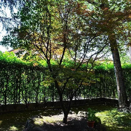 Yourhouse S.raffaele 2 * Milan