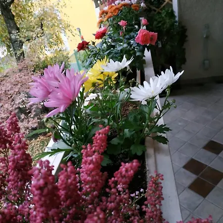Yourhouse S.raffaele 2 Milan